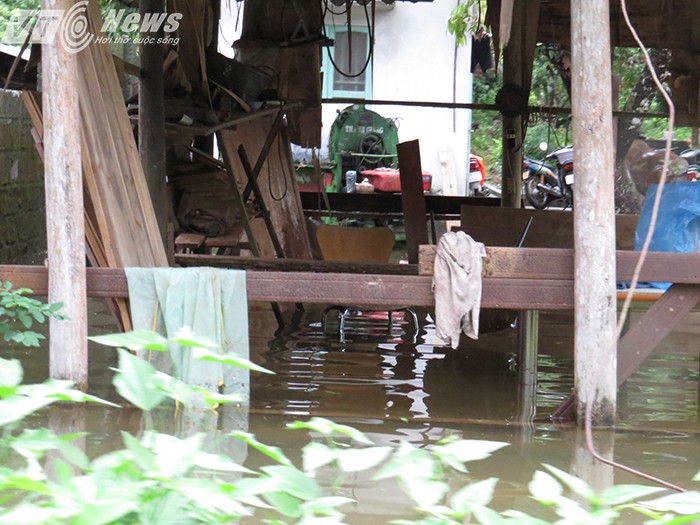 Tan thay canh tuong hai hung noi xa dao bi nhan chim-Hinh-8